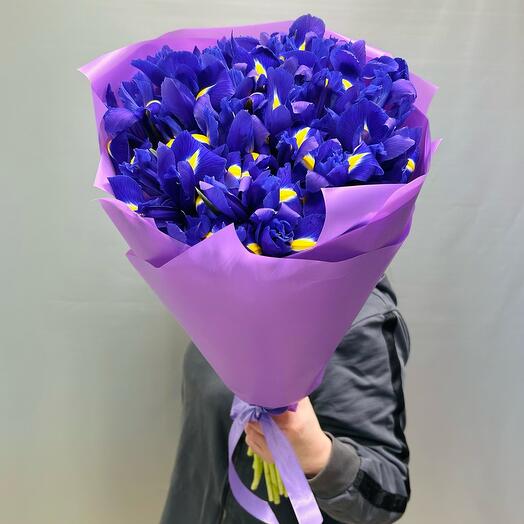 Ирис Blue Magic L