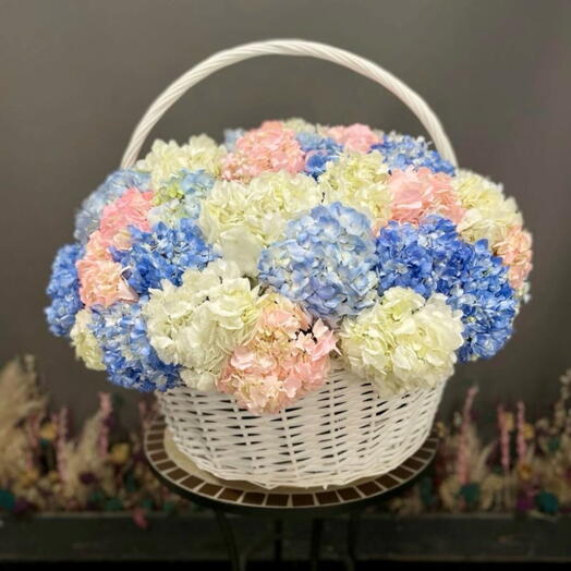 49 Hydrangeas in a basket