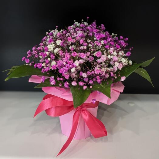 Цветы в коробке