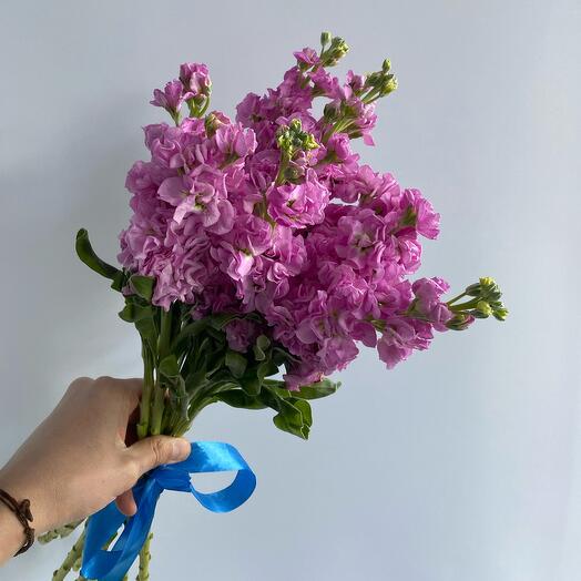 Букет из 9 матиолл