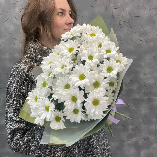 Хризантемы( белые )