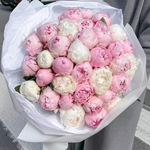 Букет 25 пионов 💞