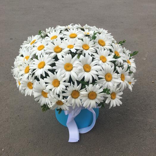 51 ромашка в коробке