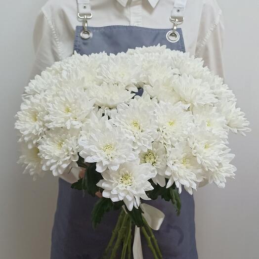 Chrysanthemum bush 7