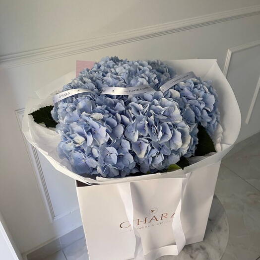 Bouquet of hydrangeas