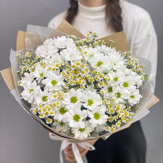 Daisies are large and small