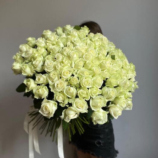 101 White Roses