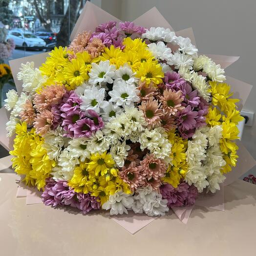 Chrysanthemum colorful bouqut
