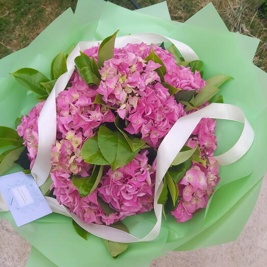 Pink hydrangeas bouquet