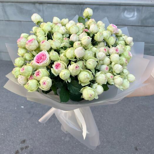 Пионовидная роза Джелато Мармелато 😊