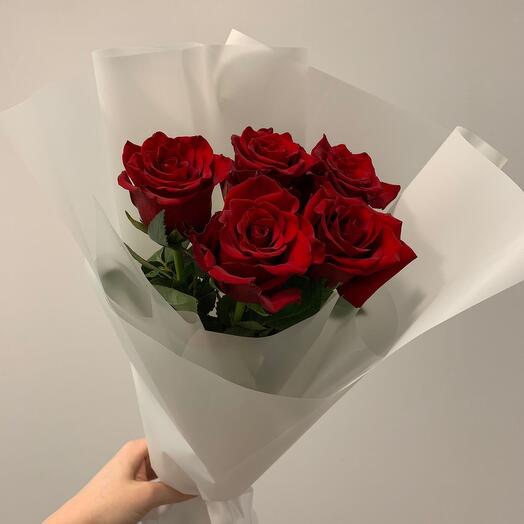 Красные розы 🌹