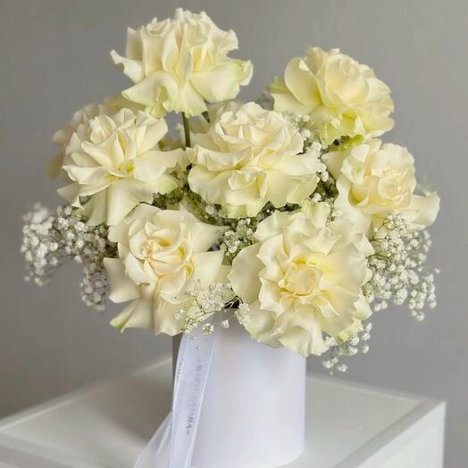 Softness