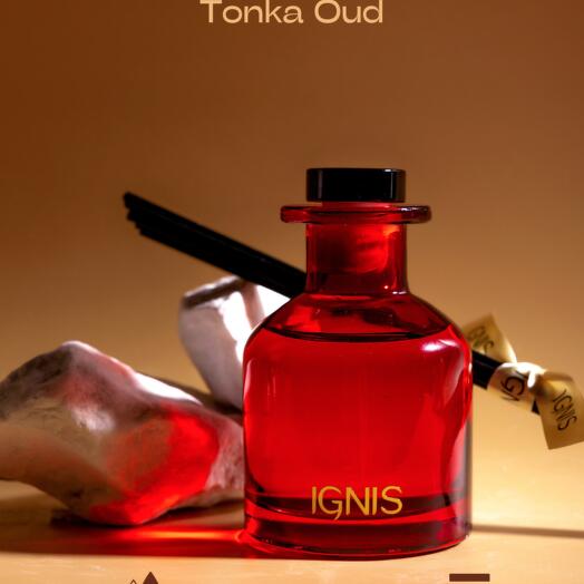Ароматический диффузор IGNIS Tonka Oud, с ротанговыми палочками, 100 мл