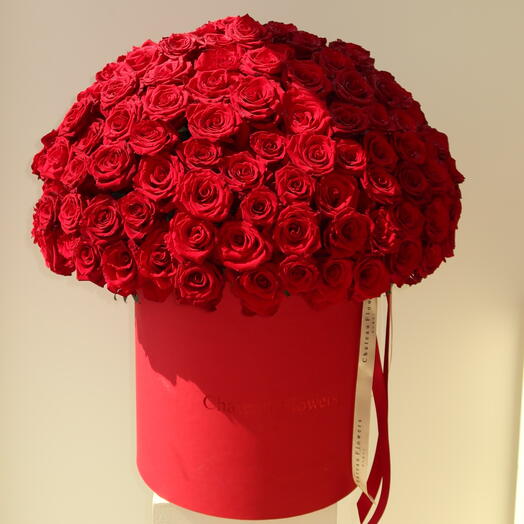 200 Red roses - XXL size box