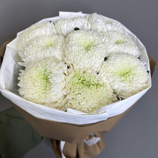 Одноголовые хризантемы