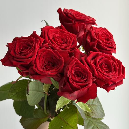 Ramo de 7 rosas rojas de 60 cm con cinta