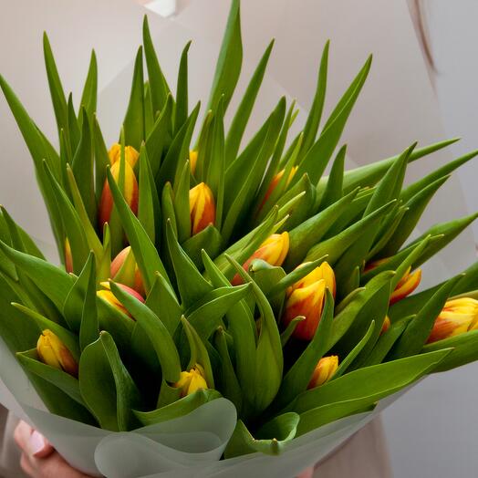 Букет красно-желтых тюльпанов, 21 шт., 45 см. Florentika