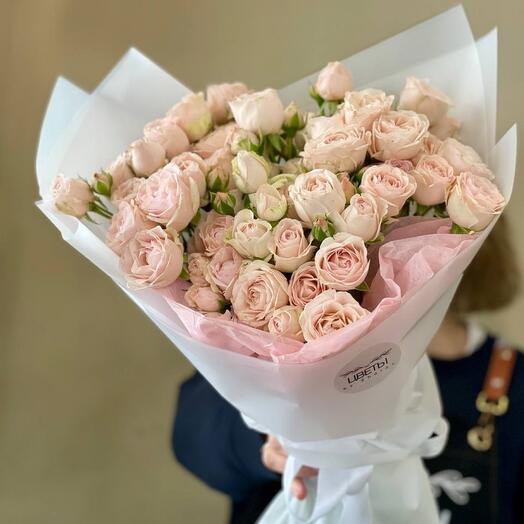 Кустовая роза 🌸 Пудровые облака