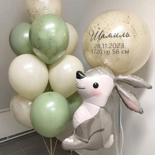 Сет 32 встреча малыша из роддома/Годовасие