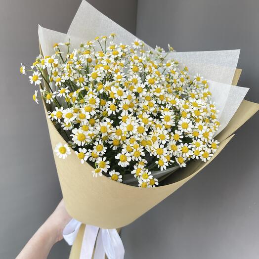 Букет из ромашек кустовых 9 штук