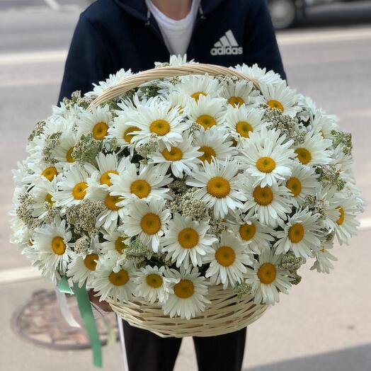 Ромашки садовые премиум в корзине