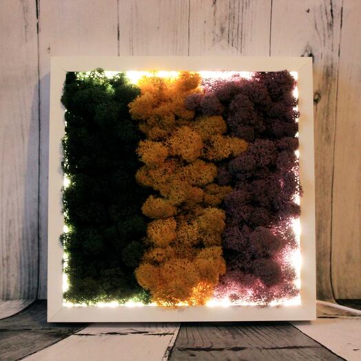 Панно из стабилизированного ягеля с подсветкой