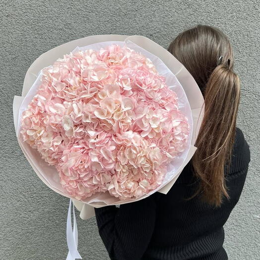 Букет гортензий Pinky