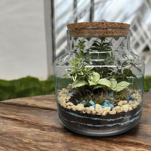 Jardin eterno tonos frios