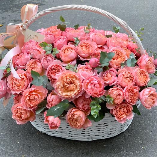 Слова не нужны 🔆