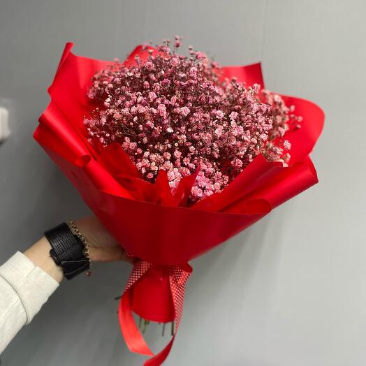 Ramo de gypsophila