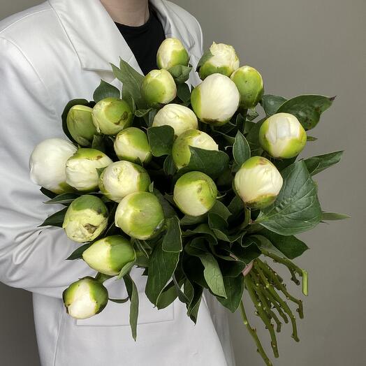 19 пионов