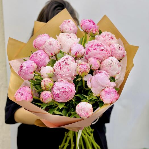 Пион 25 штук