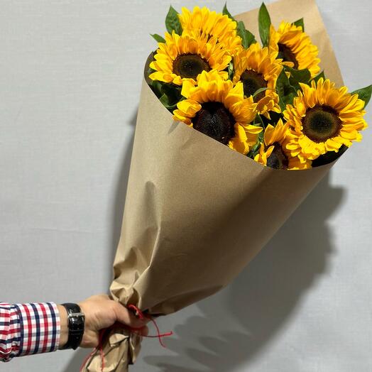 Подсолнухи 🌻