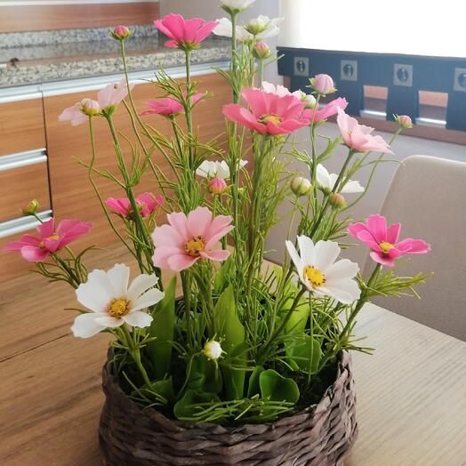 Pembe kosmos çiçeği