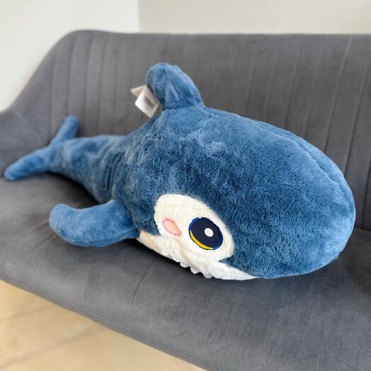 Акула 🦈
