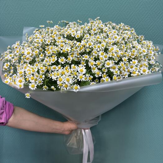 Букет Ромашки 25