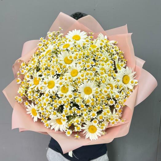 Крупные ромашки  и кустовые ромашки в розовой упаковке 💝