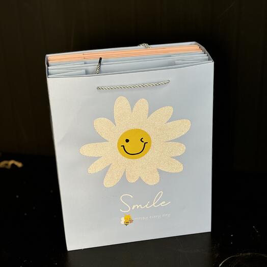 Пакет подарочный