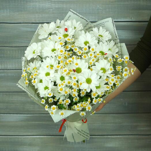 Хризантемы, ромашки и божьи коровки