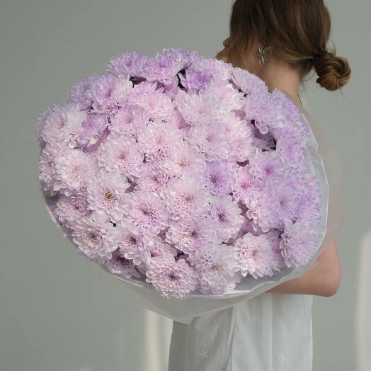 Букет лавандовых хризантем большой