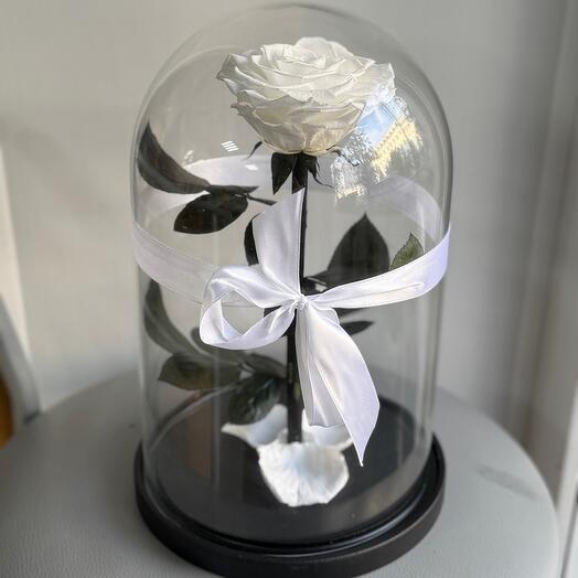 A rose in a King Size flask