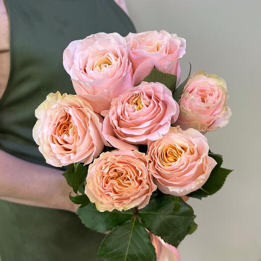 Букет из персиковых пионовидных роз, 7 штук