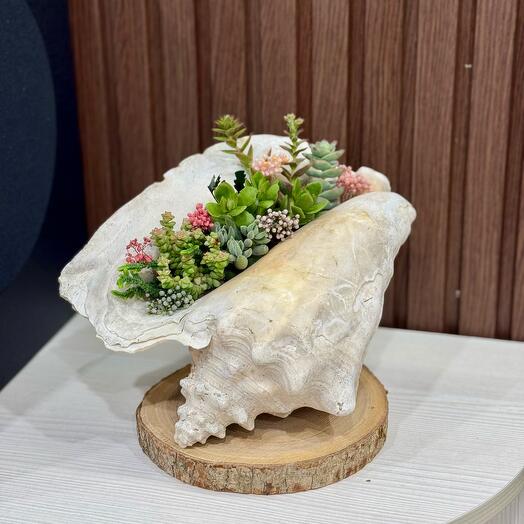 Цветочная ракушка - Особенный подарок на день рождения