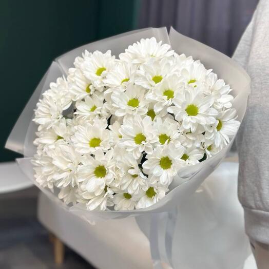 Солнечное утро