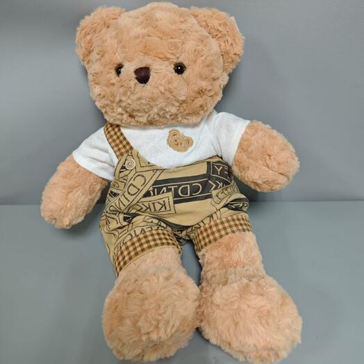 Медвежонок в шортах