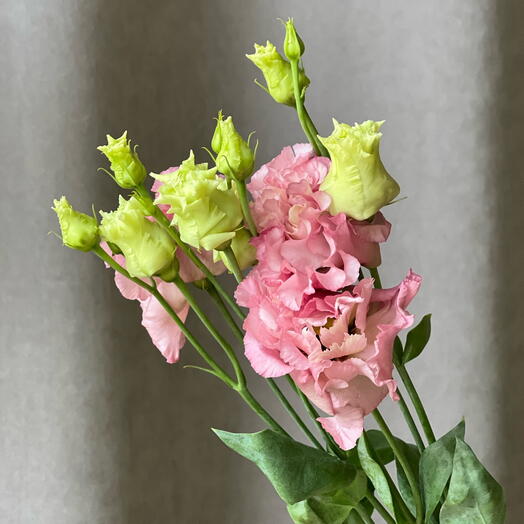 🌸Эустома лизиантус розовая, персиковая цветы подарок женщине, любимой девушке, жене, маме букет эустом