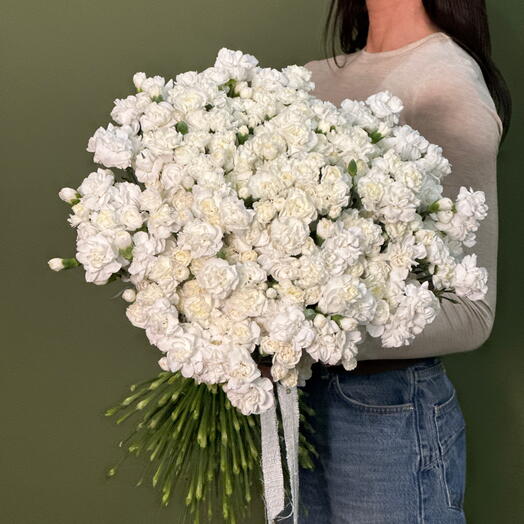 Кружевные гвоздички кустовые белые 121