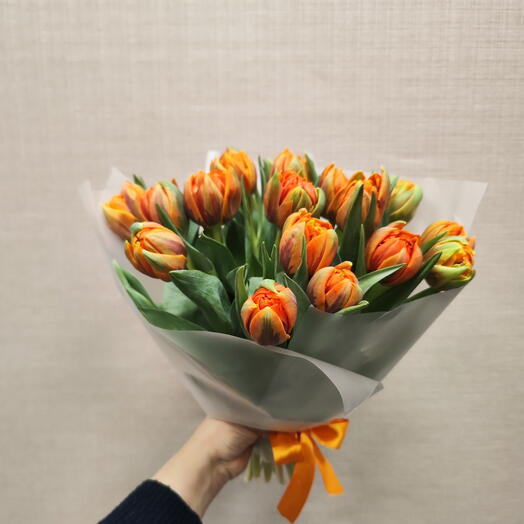 19 пионовидных тюльпанов в матовой пленке