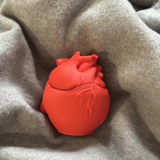 Anatomical Heart Candle