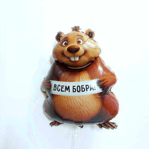 Воздушный шар Бобёр